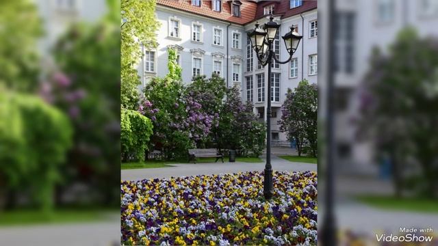 В Калининграде в преддверии 80-летия Дня Победы над нацистской Германией смотреть онлайн