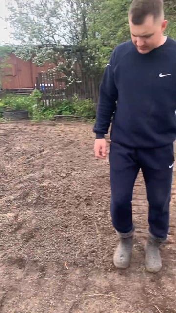 ГАЗОН СВОИМИ РУКАМИ #газон #дача #огородкруглыйгод смотреть онлайн