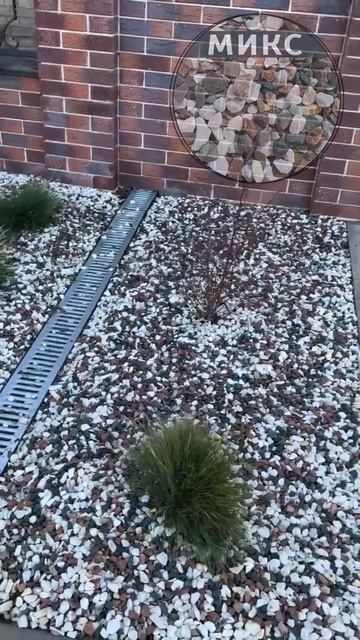 #ландшафтныйдизайн  #gardendesign #garden #озеленение #газон