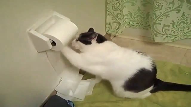 TetRis v.58.187 Баян Шоу. Криминальное НЕчтиво. #юмор смотреть онлайн
