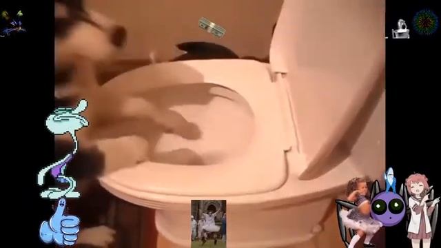 ПРИКОЛЫ СОБАКИ, С СОБАКАМИ, DOG/ смотреть онлайн