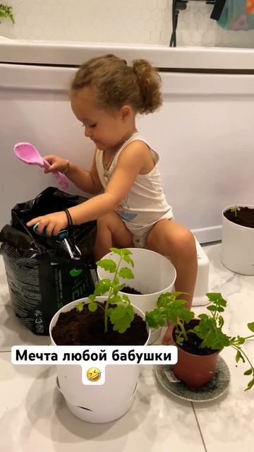 А потом все сожрал кот🤣 #рек #шортс #прикол #топ#посадк