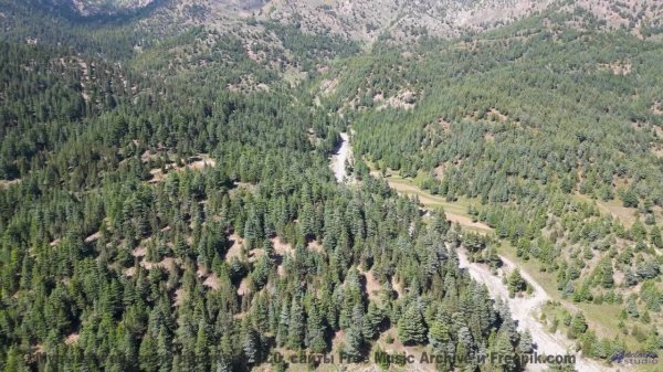 Мелодия превращает поля в магические пространства - Makes-Shift Salvation -- HoliznaCC0 -- Makeshift