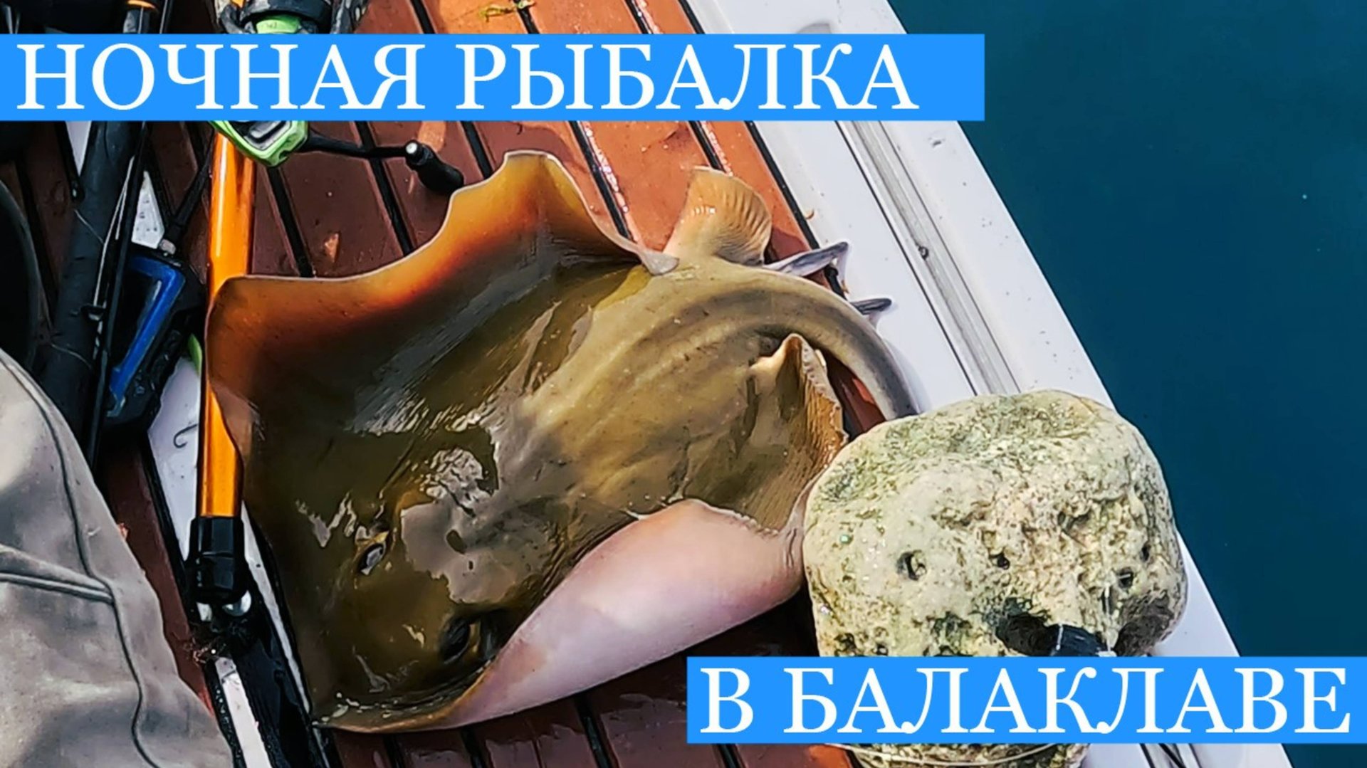Ночёвка в ГРОТЕ! - Балаклава и странные ДАРЫ МОРЯ!) Пробую новые снасти и готовлю улов! смотреть онлайн