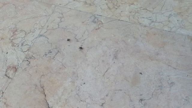 Брейкданс мухи смотреть онлайн