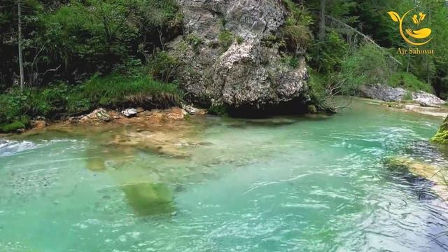 ТУЙДАГИ КУЙОВ КИЛГАН ИШ ТУЙ БУЗИЛИШИГА ОЗ КОЛДИ НОС КАШ 😱❌ Solixon Domla солихон домла