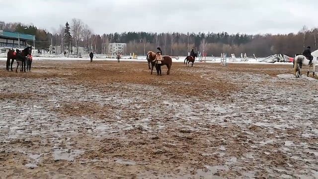 Я СТАЛ НАЕЗДНИКОМ, ИЛИ КАК СКАКАТЬ ВЕРХОМ! смотреть онлайн