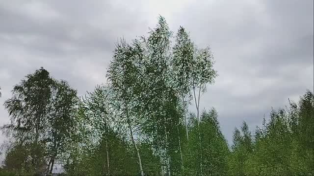 Соловьиная роща