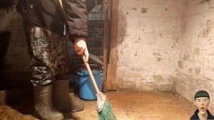 КРОЛИКИ В САРАЕ. САРАЙНОЕ СОДЕРЖАНИЕ КРОЛИКОВ