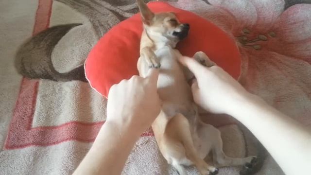 Узбагойся. Я прошу тебя узбагойся, узбагойся ! смотреть онлайн