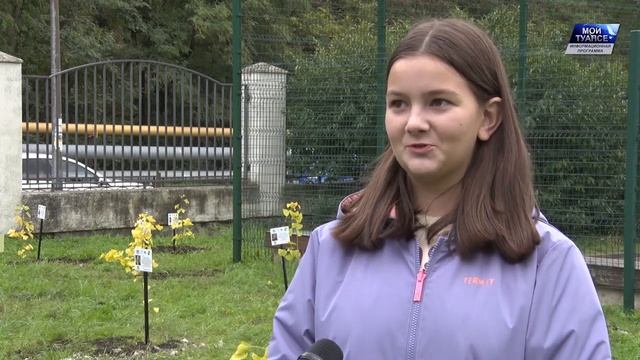 В школе №11 высадили аллею из 30 реликтовых деревьев ги? смотреть онлайн