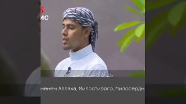 Красивое чтение Корана