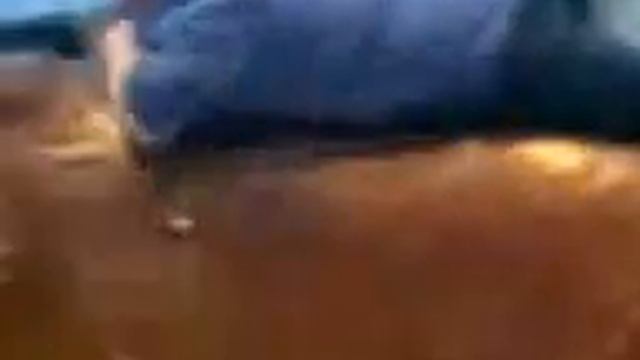 Отжик на быке смотреть онлайн