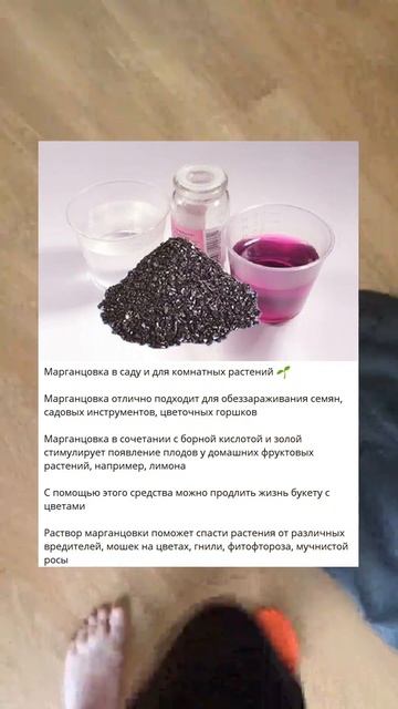 D Марганцовка в саду и для комнатных растений 🌱 0 смотреть онлайн