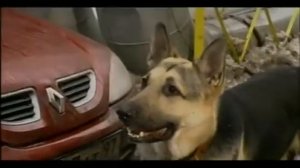 Возвращение Мухтара 1 сезон 3 серия