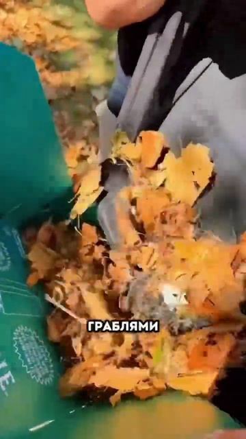 Теперь участок на даче выглядит идеально #дача #ремонт смотреть онлайн