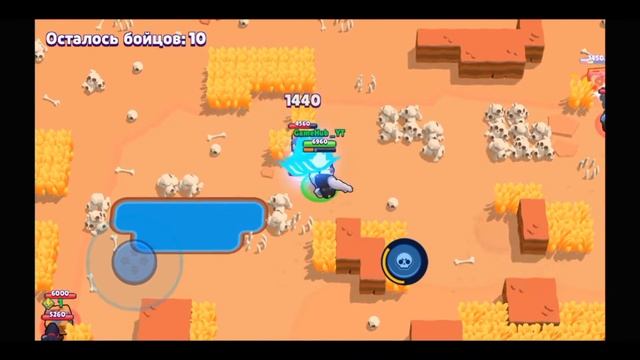 Вся правда об AceArrow. Бросил канал до 100 к?