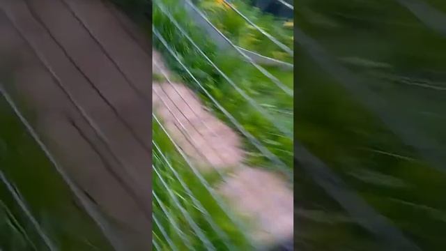 я вызвал картун кета