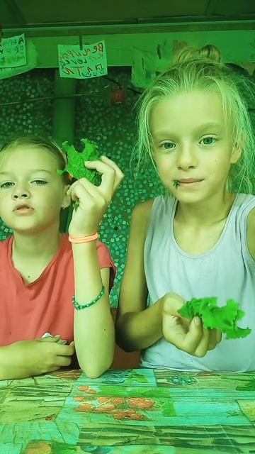 Оцениваем еду из огорода. 2 часть. #лето #огород #оценив? смотреть онлайн