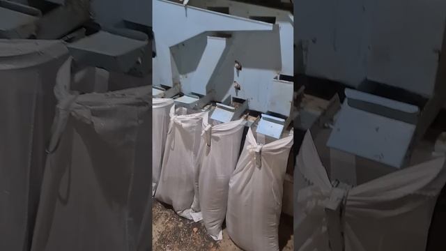 Очистка подсолнечника от сора