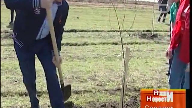В Саранске появилась березовая аллея смотреть онлайн
