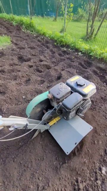 Обработка земли мотоблоком. #video #весна #сад #огород #тр? смотреть онлайн