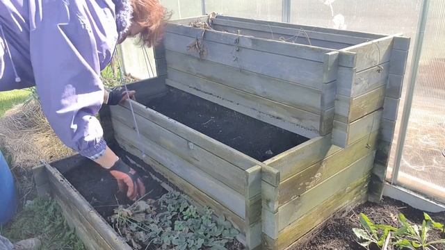 Есть всходы/Ждём новые #моибудни #влог #жизньвгермании смотреть онлайн