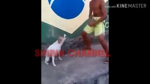 Кыргызча приколдор