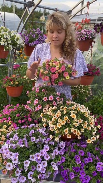 Как подготовить вегетативные маточники к черенковани смотреть онлайн