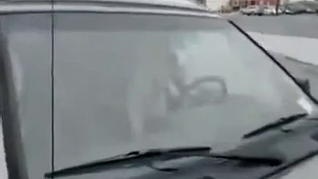 Собаку закрыли в машине и она решила напомнить о себе Юмор! Прикол! Смех смотреть онлайн