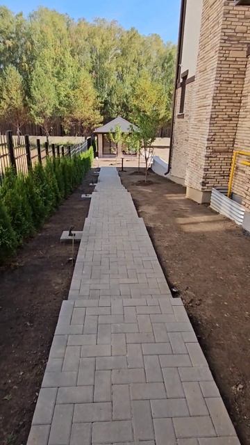 Подготовка под рулонный газон выполнена. Посадка туй ? смотреть онлайн