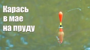Ловля карася в мае на деревенском пруду на поплавок