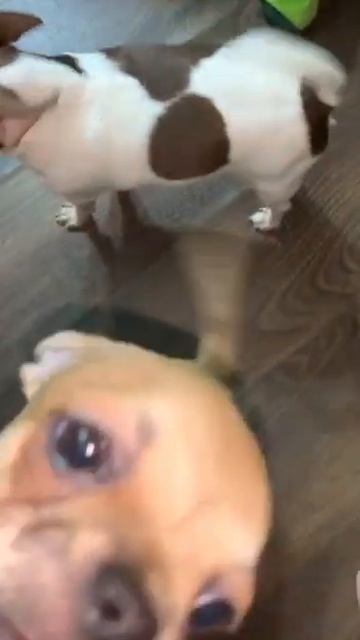 Утомилась и спать завалилась.