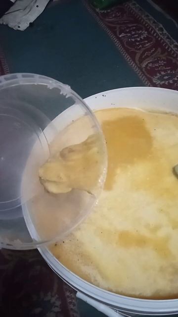 Чем кормить пчел весной #пчелы #подкормка для пчел #пче смотреть онлайн