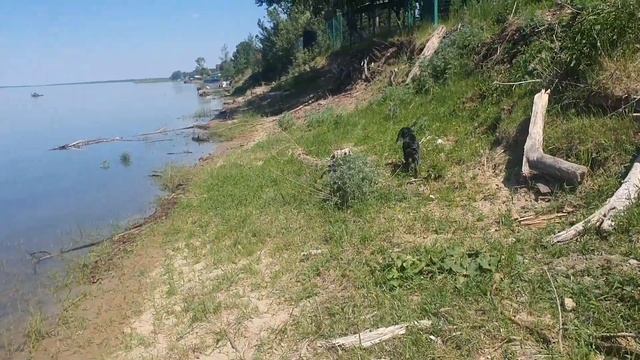 Жара. Пекла тыквенные кексы. Обрабатывала капусту от в смотреть онлайн