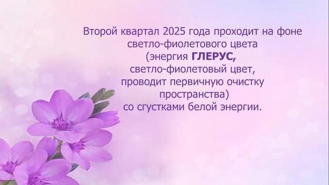 339 Квантовый календарь прогноз на апрель 2025 года смотреть онлайн