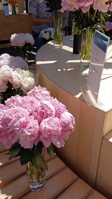 Вднх, выставка цветов. Май 2024 г. смотреть онлайн