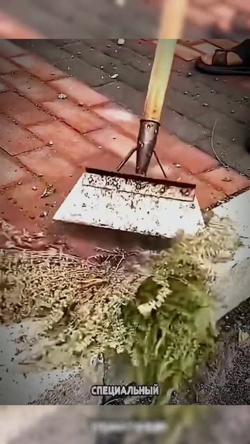 #вайлдберриз #находки #товарыдлядома #обзор #распаковк смотреть онлайн