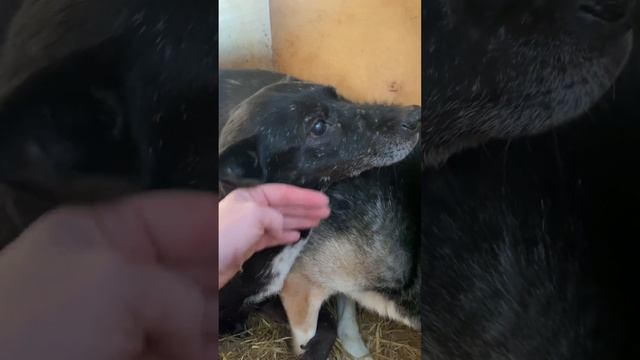 ВЕРЬ МНЕ, ДРУГ !