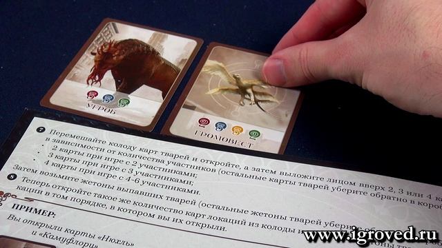 Фантастические твари. Обзор настольной игры от компании Стиль Жизни