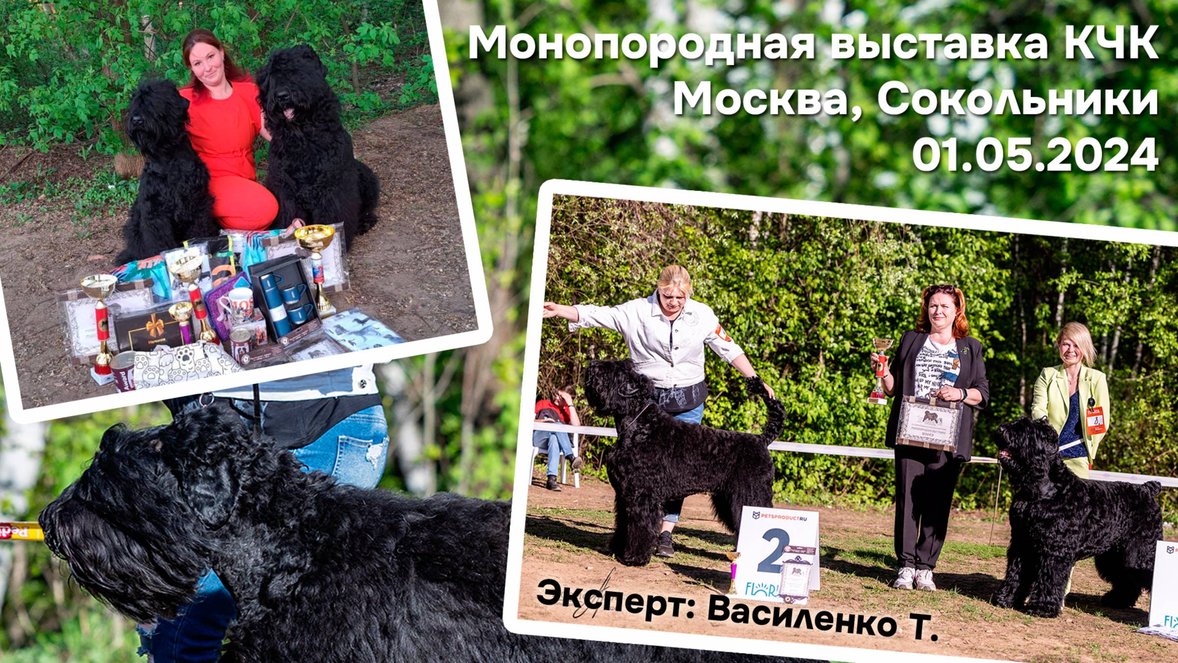 Моно КЧК 01.05.2024, Сокольники, Москва. Эксперт Василенко Т.