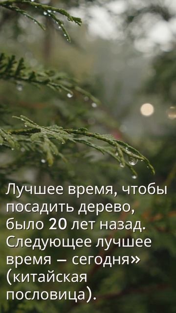 Мотивация. Китайская поговорка. смотреть онлайн