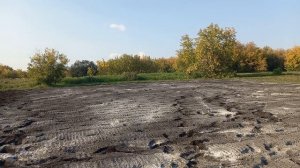 Внесение доломитовой муки в почву.