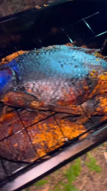 #копчениерыбы #карась #природа #еданаприроде #еда #реце смотреть онлайн