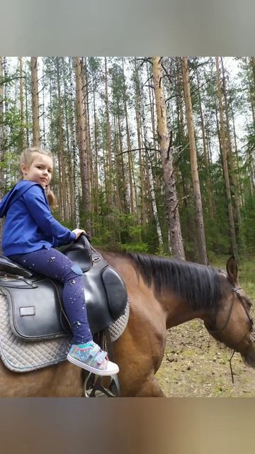 Прогулка на лошадках, они прекрасны 🥰 #весна #каприоль #верхом #мирпросыпается #природа смотреть онлайн