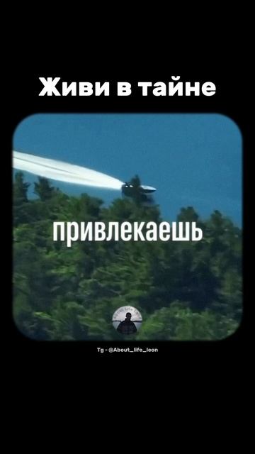 Держи свою жизнь в тайне! Tg - @About_life_leon #саморазвитие #motivation #успех смотреть онлайн