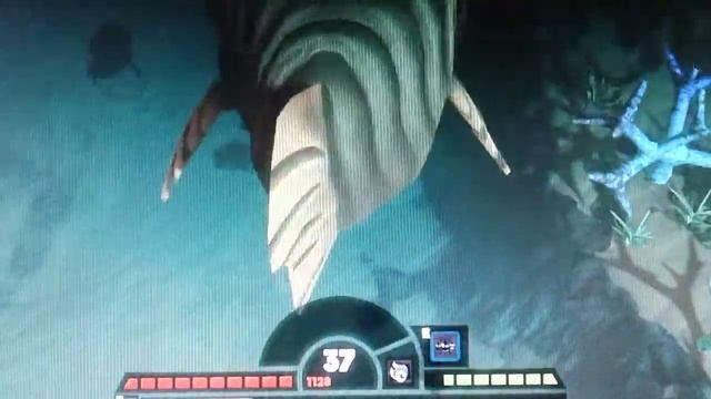 Фиш фиден гроу:бибос король океана