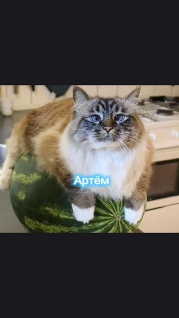 кто ты по имени часть 6 смотреть онлайн