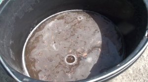 Подкормка из куриного помёта: как использовать, когда