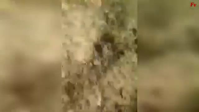 Всеми забытые Приколы про Армию смотреть онлайн
